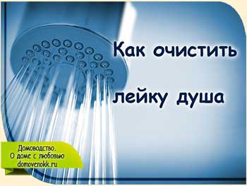 Як очистити лійку душу від накипу