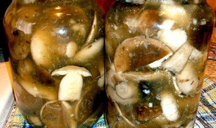 Cum să muiți podberozoviki fotografii și rețete pentru gătit ciuperci marinate în casă
