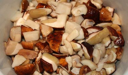 Як правильно маринувати підберезники фото і рецепти приготування маринованих грибів в домашніх