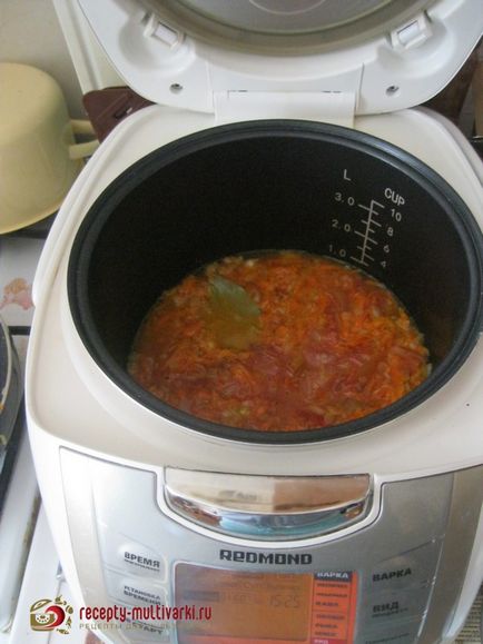 Cum să gătești goulash într-un multivarchet de pui cu sos de roșii - panasonic, redmond, polaris, filips