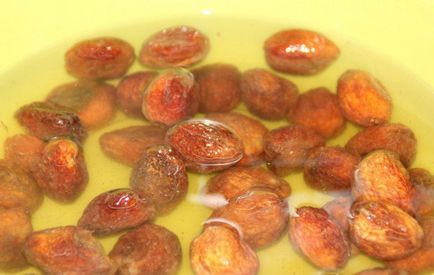 Як зварити компот з урюка в домашніх умовах вітамінний компот із сушених абрикос