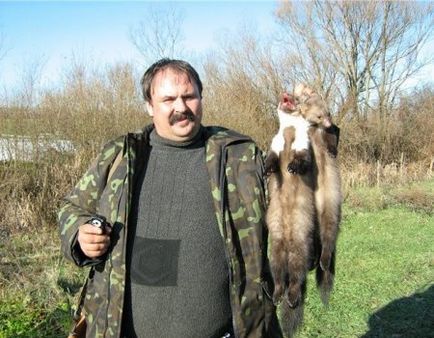 Cum să atingeți marten