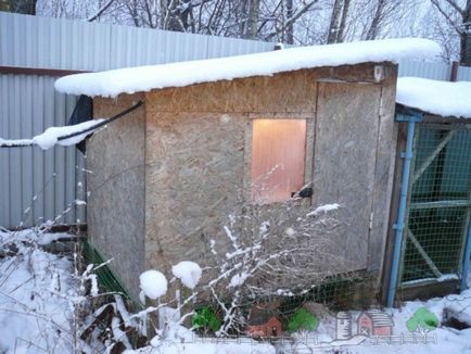 Cum de a izola casa de pui pentru iarna cu propriile mâini, izolarea acoperișului și tavanului