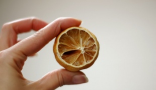 Як засушити лимон