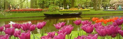 Keukenhof как да планират пътуване до цвете парк през 2018 г., Амстердам в ефир