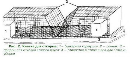 Клітки для кроликів з фантазією, головний фермерський портал - все про бізнес в сільському господарстві