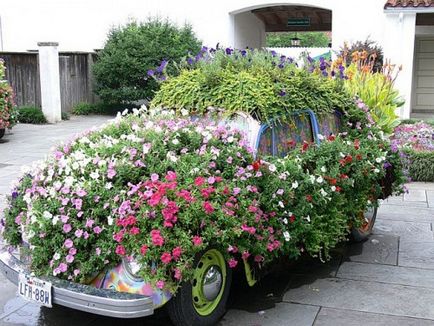 Un pat de flori în mașină