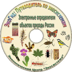 Atlas de calculator - determinant al mamiferelor terestre (animale) din Rusia