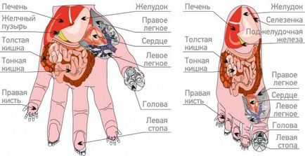 Корейська масаж рук для дітей су джок