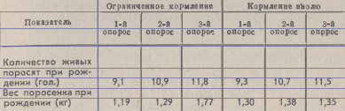 Хранене и поддръжка на бременните свине майки