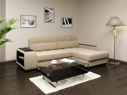 Canapea din piele în designul interior al camerei de zi și alte camere, opțiuni moderne și clasice,