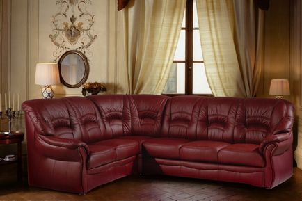 Bőr kanapé a belső kialakítás a nappali és egyéb helyiségek, a modern és a klasszikus lehetőségek