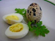 Csirke és fürj tojás gyomorfekély - haszon kezelésében