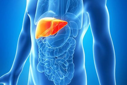 Tratamentul hepatozei grase cu medicamente și ierburi