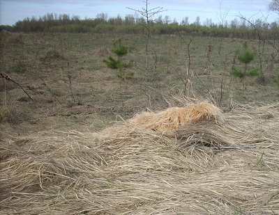 Leshy pentru vânătoare de a coase