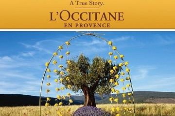 Loccitane відгук на крем для обличчя божественний Іммортель, косметика і догляд за собою