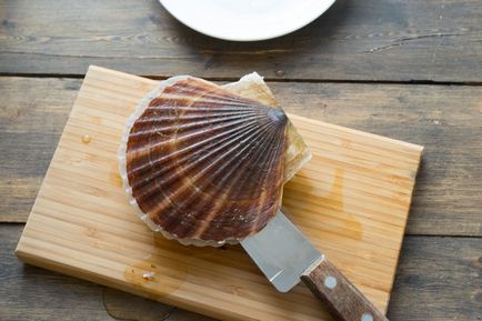 Kagyló fűszeres öntetek és csokoládé - egy csemege az asztalon - Andy szakács (chef Andy) (csemege) Kagyló fűszeres öntetek és csokoládé - egy csemege az asztalon - Andy szakács (chef Andy)