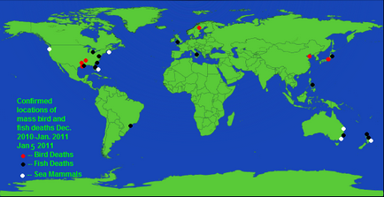 Poate înseamnă ceva în întreaga lume să piară în mod misterios păsări și pești