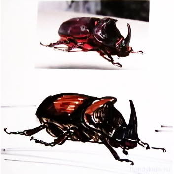 Desenați Beetle mai