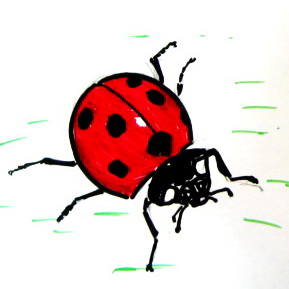 Desenați Beetle mai