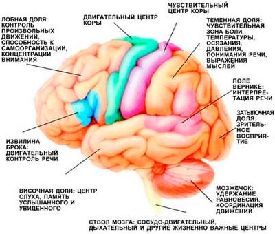 Medicina tradițională - accident vascular cerebral (apoplexie)