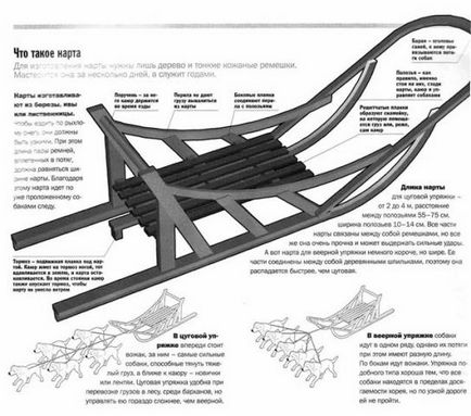 Нарти для однієї собаки своїми руками креслення