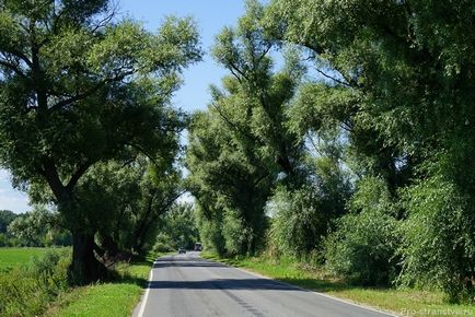 Szent Miklós kolostor Peshnoshsky 1