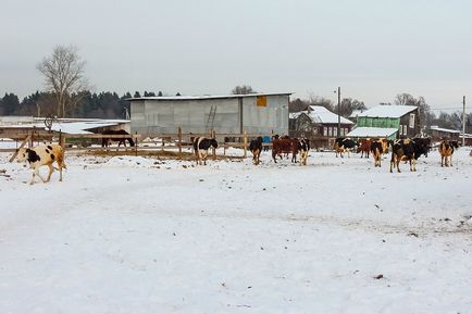 Ніколо-Пешношского монастир друга лавра