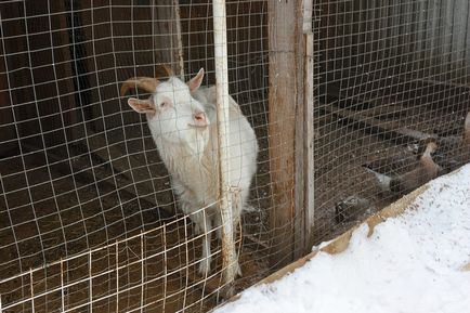 Manastirea Nikolo-Peshnosh a doua laura