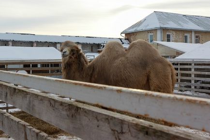 Manastirea Nikolo-Peshnosh a doua laura