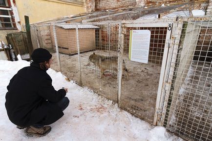 Manastirea Nikolo-Peshnosh a doua laura