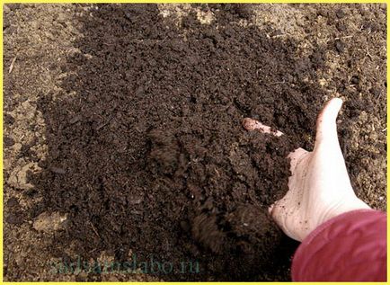 talaj fertőtlenítő a kert, a szabályokat, feltételeket, az eredmények