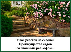 Облаштування території таунхауса в московській області