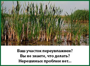 Облаштування території таунхауса в московській області