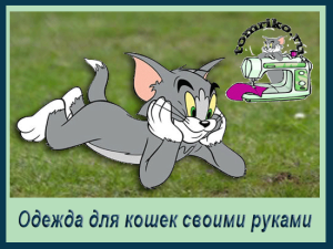 Одяг для тварин - тому і ріко розповідають, як шити одяг для тварин своїми руками