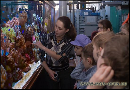 Океанаріум «морський акваріум» на чистих ставках - відкрита Київ