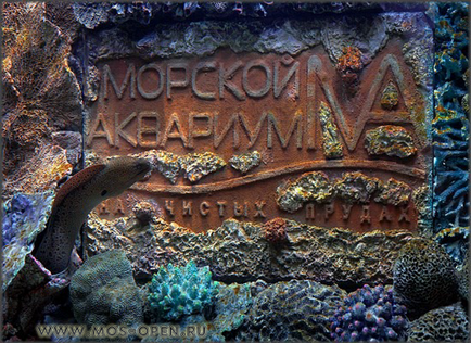 Океанаріум «морський акваріум» на чистих ставках - відкрита Київ