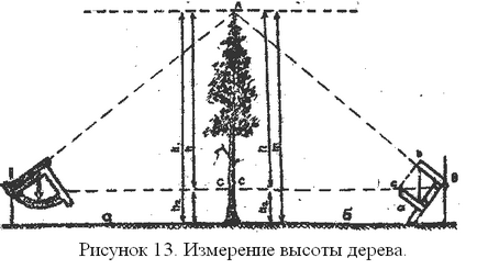 Determinarea diametrului și înălțimii unui copac