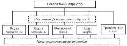 Structura și caracteristicile structurii managementului organizațional, ierarhic