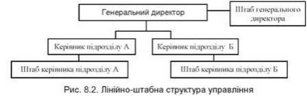 Structura și caracteristicile structurii managementului organizațional, ierarhic