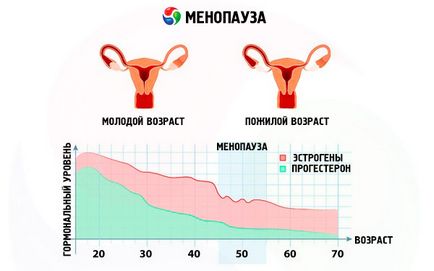 A csontritkulás tünetei és kezelése felnőttek és gyermekek