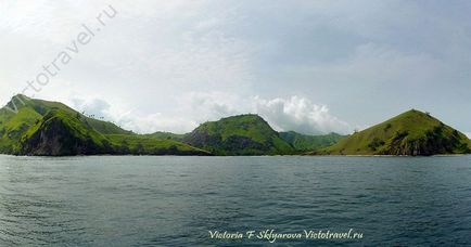 Острів комодо, индонезия, самостійні подорожі