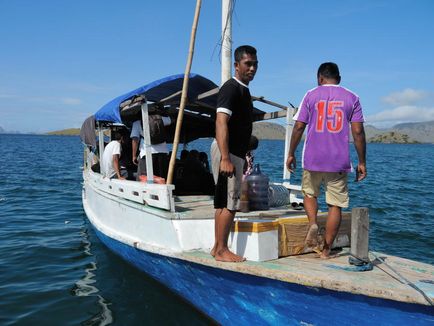 Insula Komodo cum să ajungă unde să trăiască și ce să facă