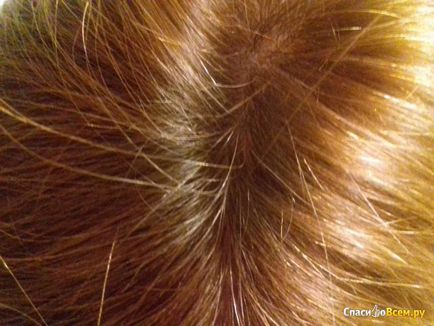 Feedback despre moale crema de păr dulce syoss gloss sensation 7-5 - strălucire rece - cu efect
