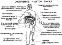 Obezitatea duce la inflamația cronică a țesutului adipos - o natură împotriva cancerului