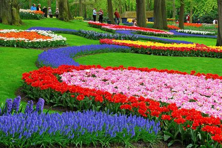 Парк тюльпанів Кекенхоф, Ліссе, Амстердам
