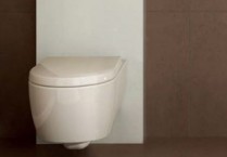 Válaszfalak WC és fürdő a kezét (fotó és videó)