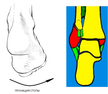 Fracturile gleznelor - acuarelă clinică chirurgie plastică