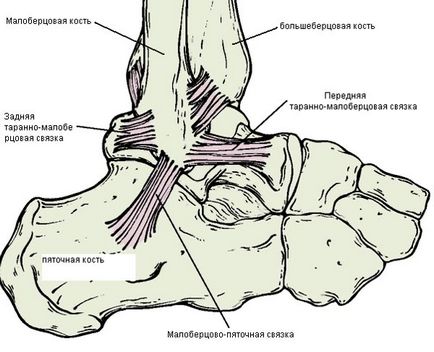 Fracturile gleznelor - acuarelă clinică chirurgie plastică