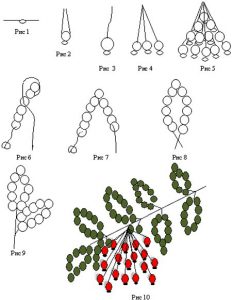 Arta pinguinului - un copac al unui guelder a crescut de la o margine de fotografie o clasă de master cu schema